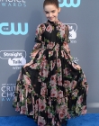 2018-01-11_-_23rd_Annual_Critics__Choice_Awards_28129.jpg