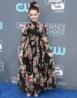2018-01-11_-_23rd_Annual_Critics__Choice_Awards_281629.jpg