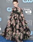 2018-01-11_-_23rd_Annual_Critics__Choice_Awards_284129.jpg
