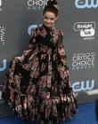2018-01-11_-_23rd_Annual_Critics__Choice_Awards_28429.jpg