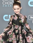 2018-01-11_-_23rd_Annual_Critics__Choice_Awards_284329.jpg