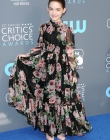2018-01-11_-_23rd_Annual_Critics__Choice_Awards_285229.jpg