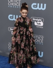 2018-01-11_-_23rd_Annual_Critics__Choice_Awards_28529.jpg