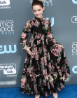 2018-01-11_-_23rd_Annual_Critics__Choice_Awards_28629.jpg