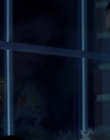 2018_-_Lucky_Penny_mp40363.jpg