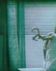 2021_-_Malignant_mp44822.jpg