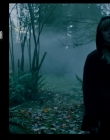 Filename=2022_-_The_Bad_Seed_Returns_mp40122.jpg
Filesize=433KiB
Dimensions=1920x960
Date added=Aug 28, 2025 2022_-_The_Bad_Seed_Returns_mp40122.jpg