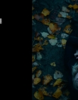 Filename=2022_-_The_Bad_Seed_Returns_mp40123.jpg
Filesize=563KiB
Dimensions=1920x960
Date added=Aug 28, 2025 2022_-_The_Bad_Seed_Returns_mp40123.jpg