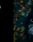 Filename=2022_-_The_Bad_Seed_Returns_mp40124.jpg
Filesize=580KiB
Dimensions=1920x960
Date added=Aug 28, 2025 2022_-_The_Bad_Seed_Returns_mp40124.jpg