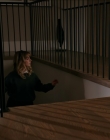 2022_-_The_Bad_Seed_Returns_mp40816.jpg