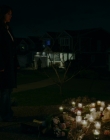 2022_-_The_Bad_Seed_Returns_mp43312.jpg