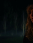 2022_-_The_Bad_Seed_Returns_mp44744.jpg