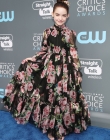 2018-01-11_-_23rd_Annual_Critics__Choice_Awards_281129.jpg