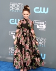 2018-01-11_-_23rd_Annual_Critics__Choice_Awards_285029.jpg