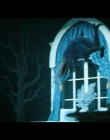 2026_-_Scream_7_mkv2018.jpg